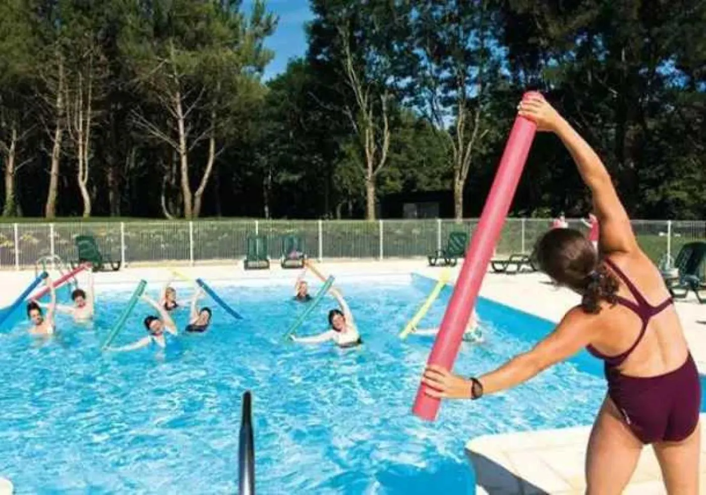 Chalet 3 Etoiles - Piscine - Ccaffag Pluherlin