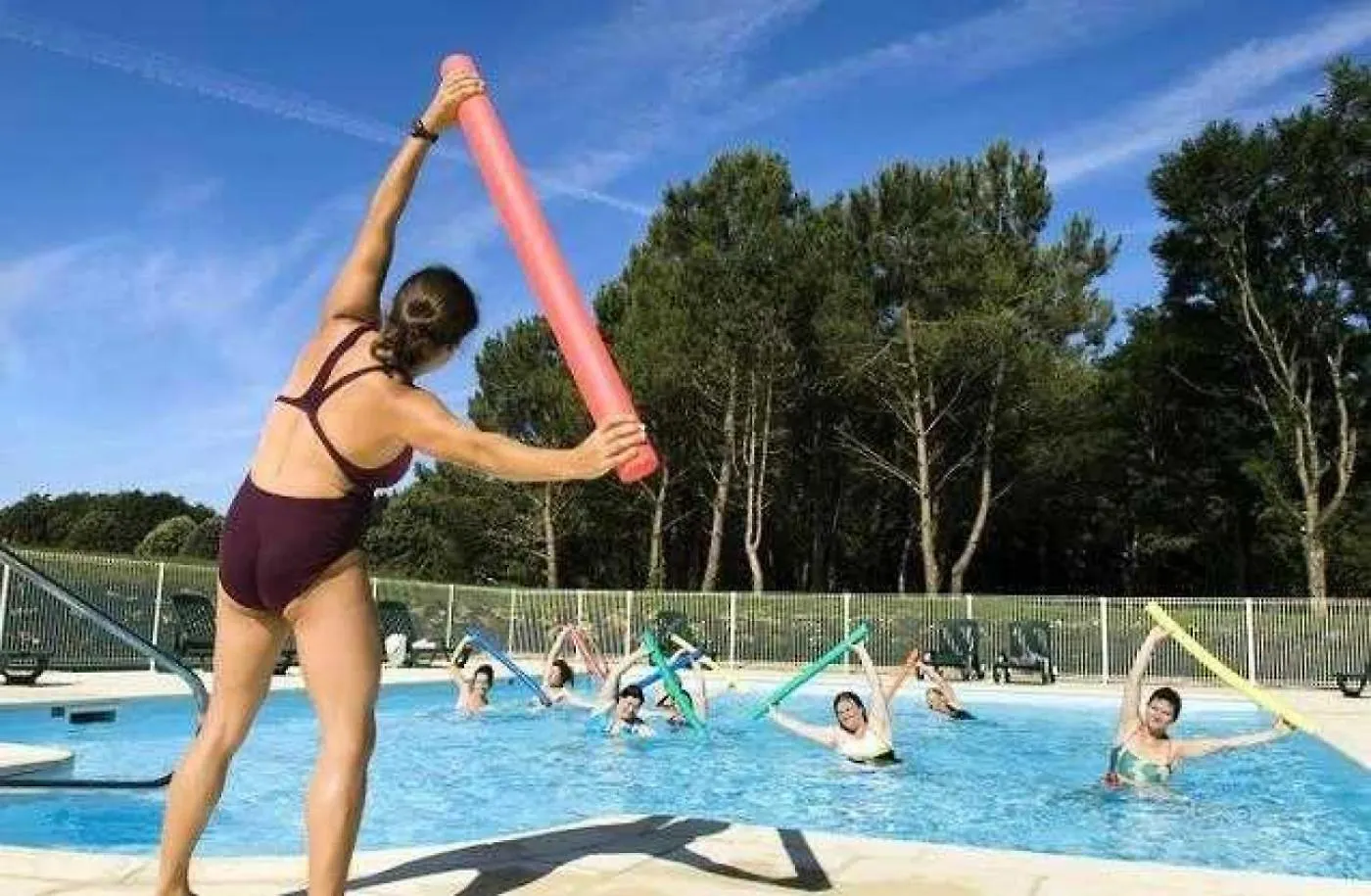 Chalet 3 Etoiles - Piscine - Ccaffag Pluherlin